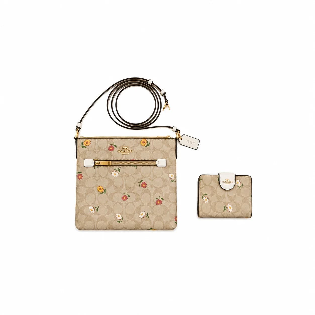 Coach-image